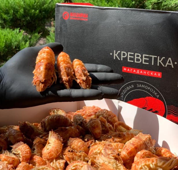 Фото Шримс медвежонок